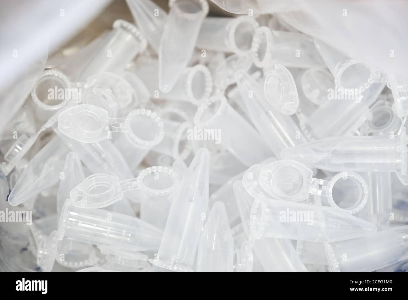 Laboratory eppendorf tubes in a bag. Laboratory material Stock Photo