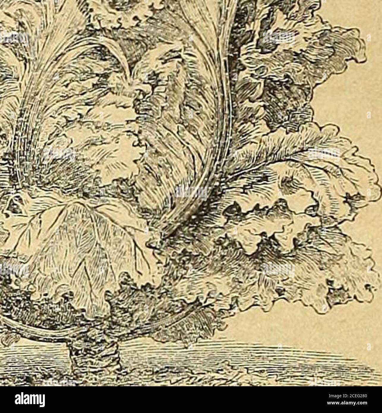 millimeters per ounce