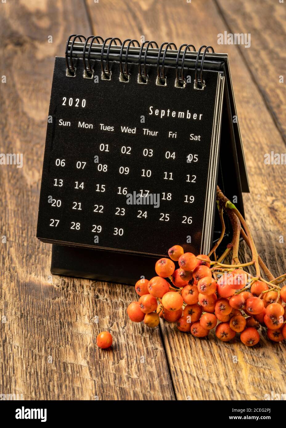 September 2020 - spiral desktop calendar on rustic wood with rowanberry Stock Photo