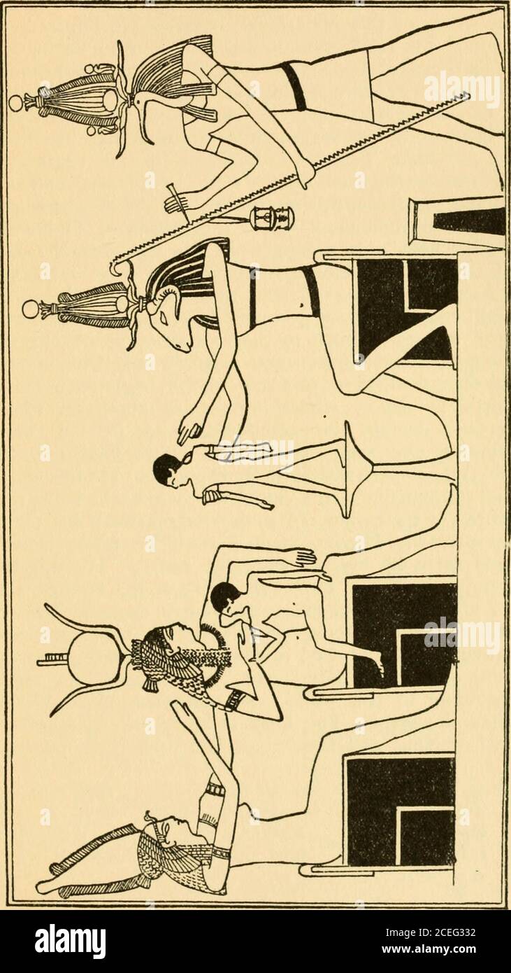 . Osiris and the Egyptian resurrection;. poses the town god took theplace of God. The form under which the town godwas worshipped mattered not, for the object, whetheranimate or Inanimate, was only regarded as the habita-tion In which It pleased the god to dwell, for a longor short time, as the case might be. Certain ancientgods, e.g., Nelth of Sais, Bast of Bubastis, Temu, andthe Mnevis Bull of HellopoHs, Apis and Ptah ofMemphis, Heru-Shefit of Herakleopolis, KhentI-xA.mentiand An-Her of Abydos, Amen of Thebes, Menu ofCoptos, Menthu of Hermonthis, Khnemu of Elephantine,became for various reas Stock Photo