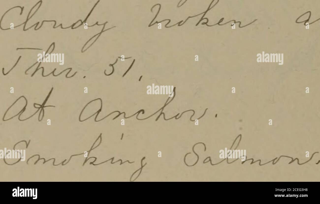 . [Logbook of the Beluga (Steam bark), out of San Francisco, Calif