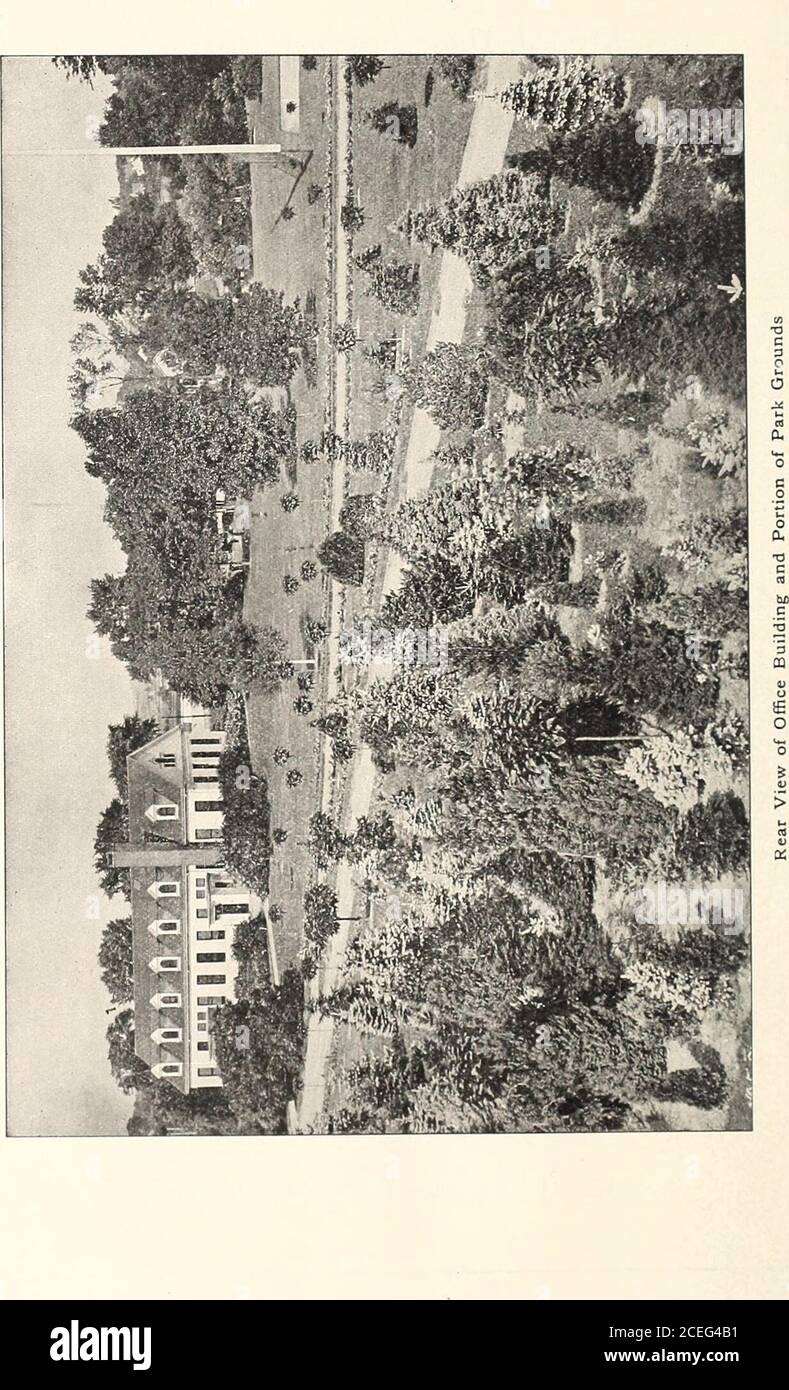 . Revised, illustrated and descriptive catalogue of fruit and ornamental trees shrubs, roses, bulbs and bulbous plants, grape vines, small fruits, etc.. INTRODUCTION To our Patrons and Agents and the General Public, greeting: THIS revised catalogue, which we take pleasure in presenting, is an indication thatwe are well equipped for conducting the nursery business on a large scale. You willfind this catalogue complete and reliable from cover to cover. We have added descrip-tions of new and promising sorts and have omitted such as experience and progress inhorticulture and floriculture have prov Stock Photo