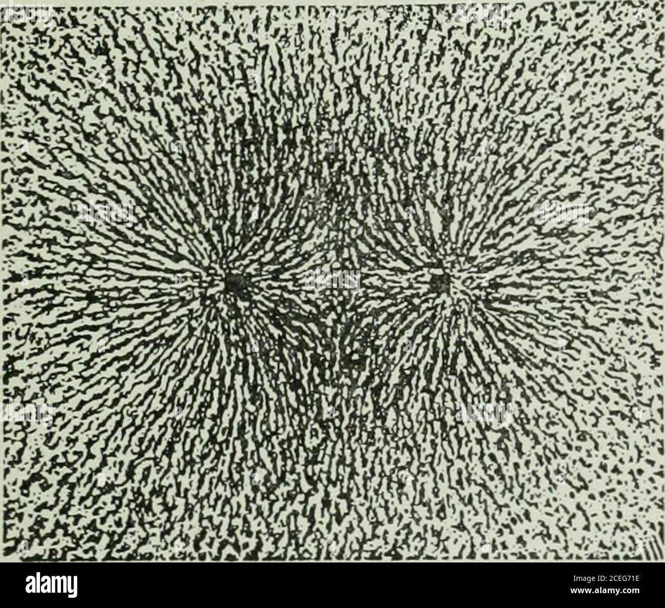 High school 2024 physics magnetism