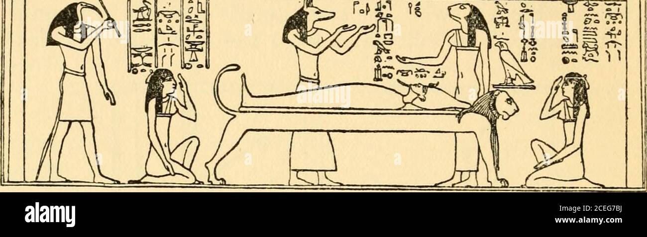 . Osiris and the Egyptian resurrection;. he Frog-goddess Heqetat Abydos. She was present when Rut-tetet gave birth to threeboys, who afterwards became Kings Userkaf, Sahu-Ra,and Kakaa.=^ The cult of Heqet was practised atAbydos under the XlXth dynasty, and on a bas-relief inthe temple there we see a representation of Seti Ioffering two vessels of wine or unguents to her.She was present when I sis had union with Osirisafter the death of the god, and she appears on a reliefat Denderah* in the form of a frog seated on apedestal at the foot of the bier of Osiris. In latedmes she was identified wit Stock Photo