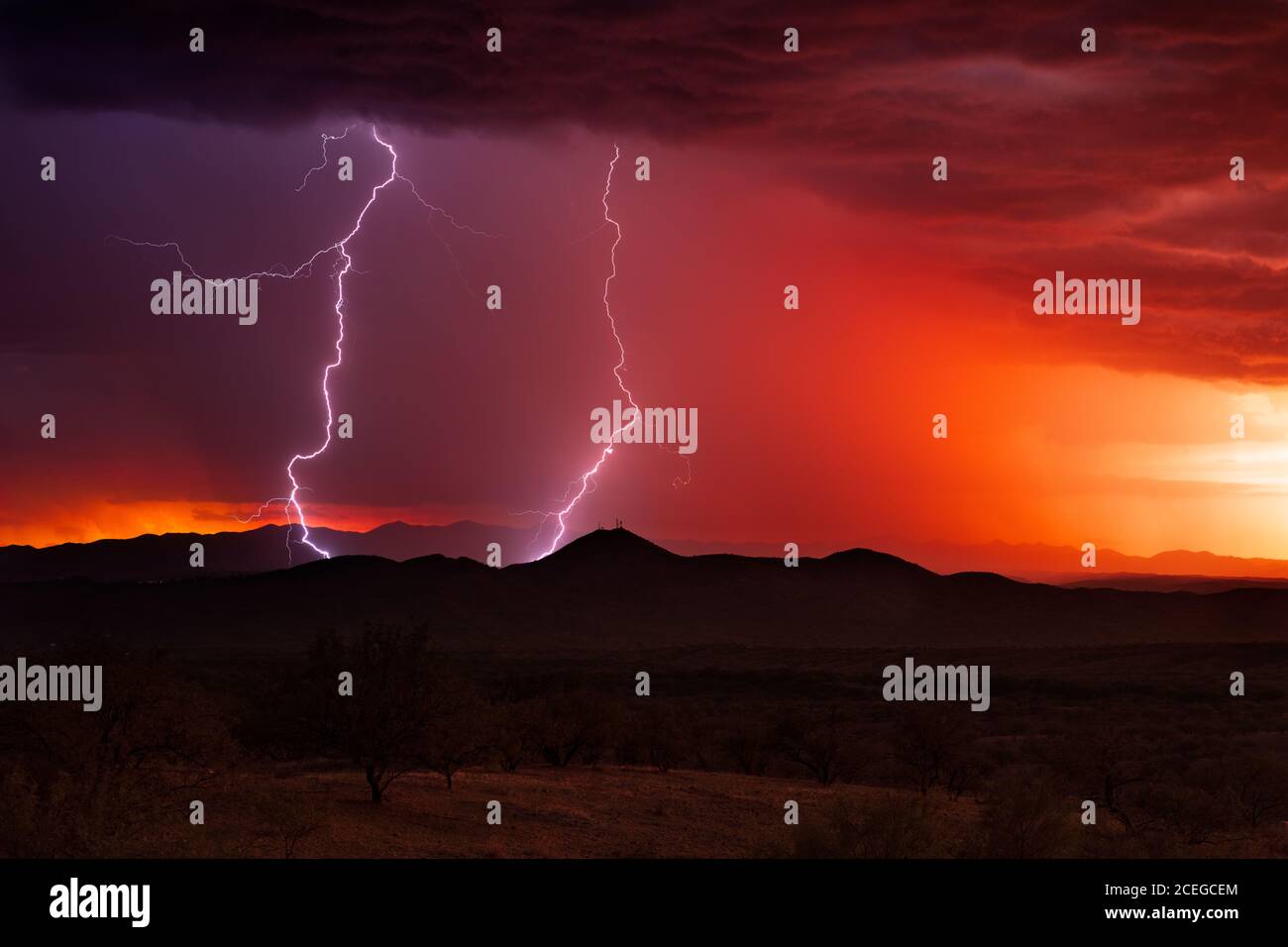 Lightning strikes from a monsoon storm near Nogales, Arizona Stock Photo