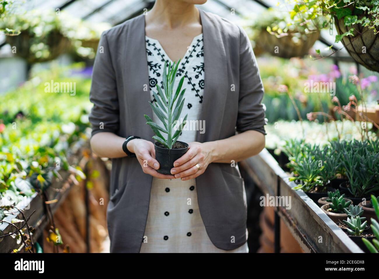 Pale Green Dress High Resolution Stock Photography and Images - Alamy