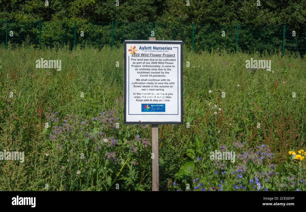 2020 wildflower project information sign hires stock photography and