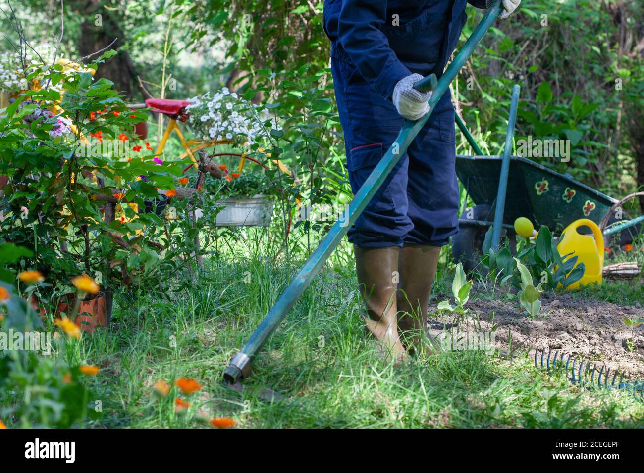 Grass Scythe Cutting Demonstration