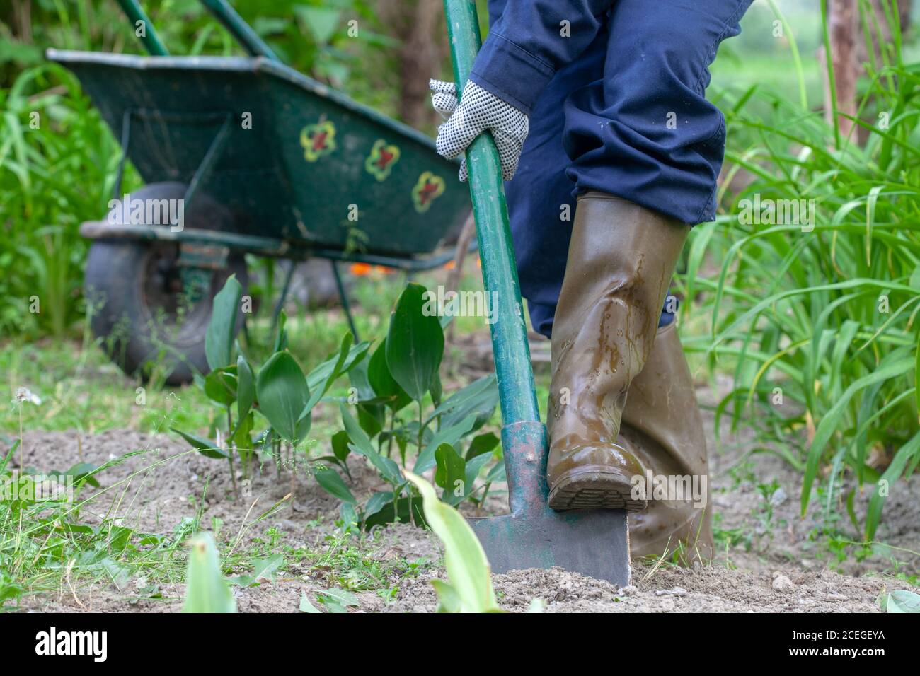 Plant care spade hi-res stock photography and images - Alamy