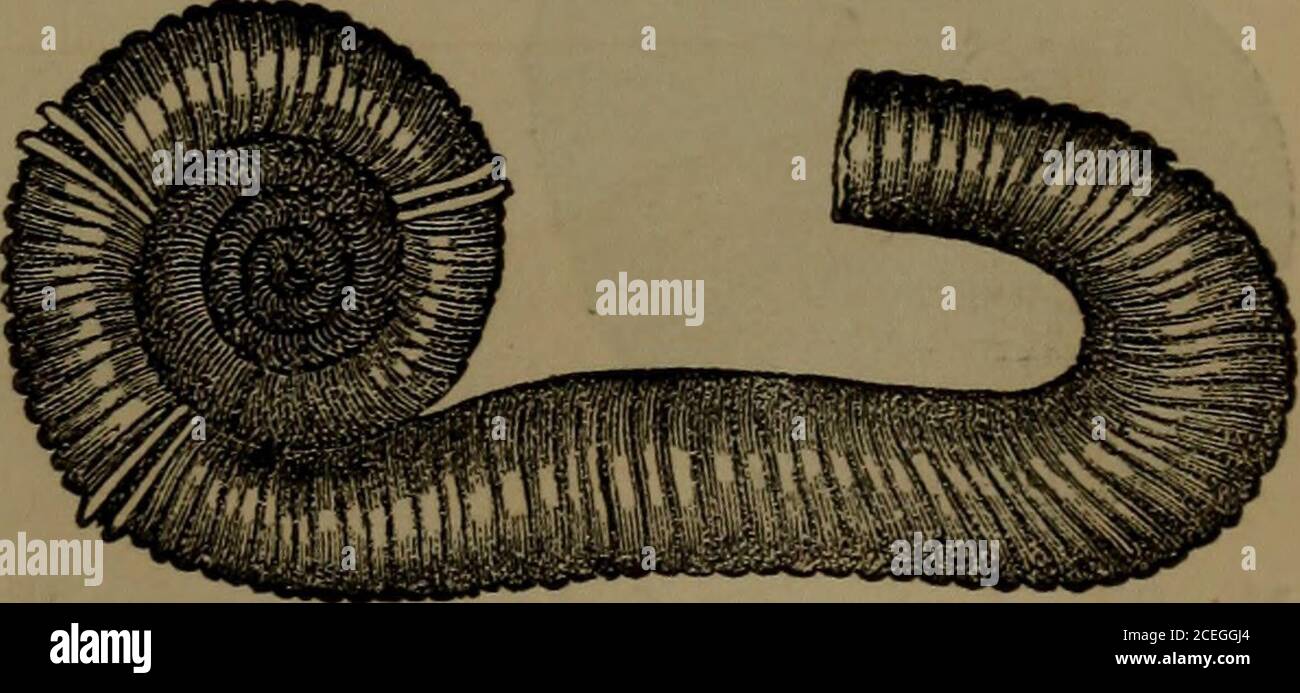 Lower greensand group hires stock photography and images Alamy