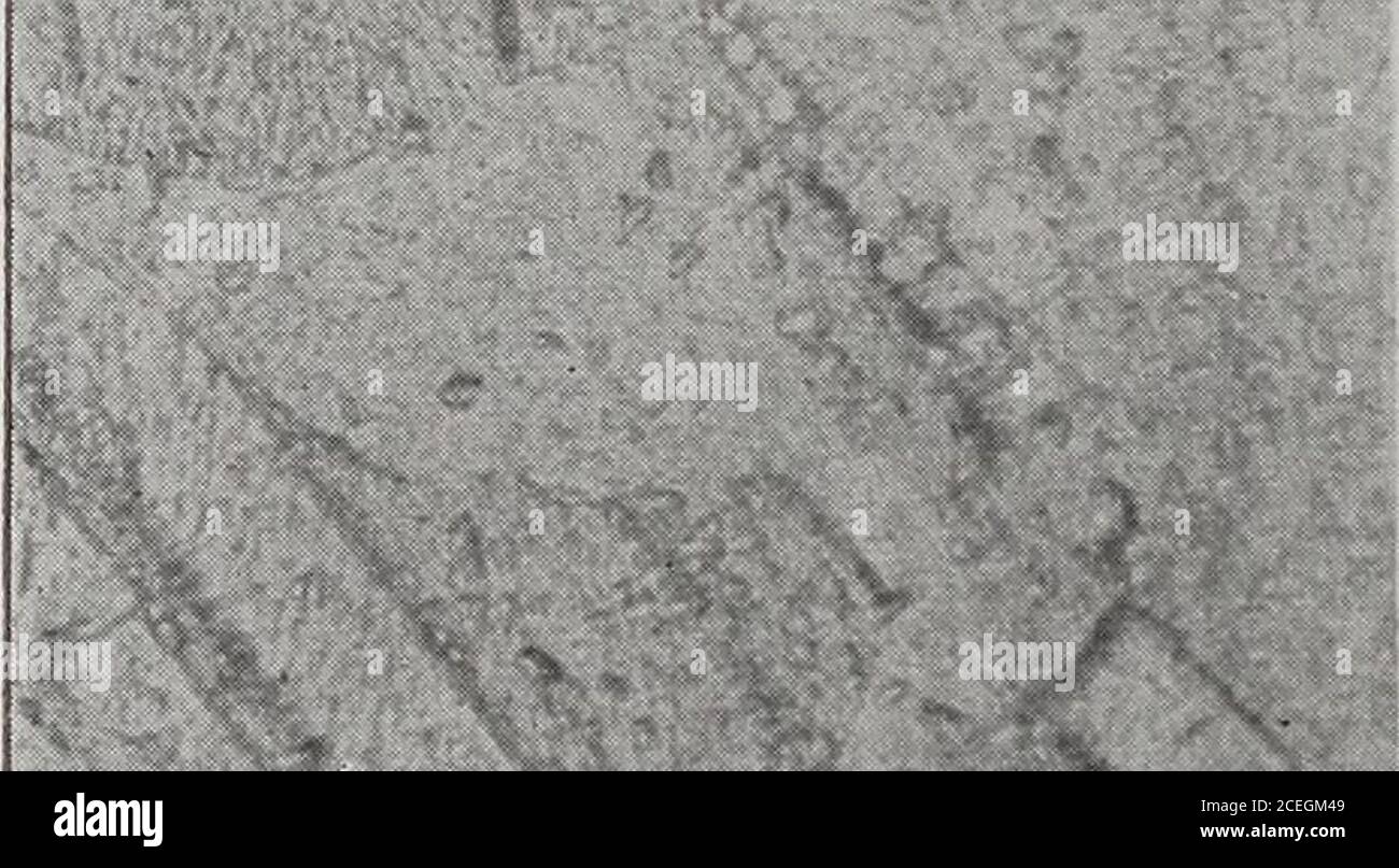 . Metallographic etching reagents I, for copper. i;u^?r m9m>.T