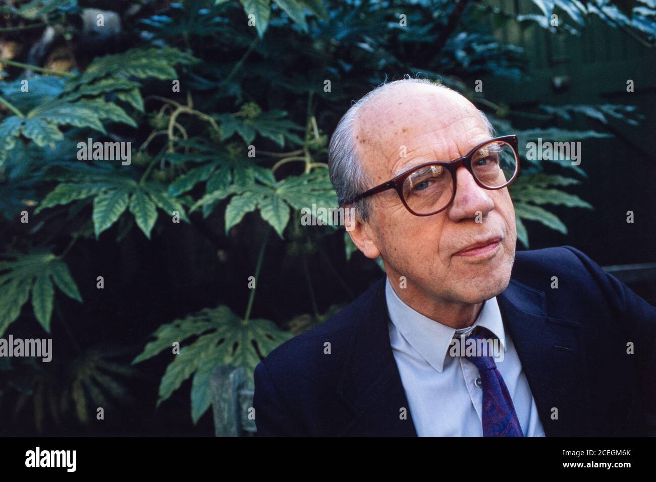 Michael Dunlop Young, Baron Young of Dartington,  British sociologist, social activist and politician who coined the term 'meritocracy'. Photographed in his office in London. 10 March 1994. Photo: Neil Turner Stock Photo