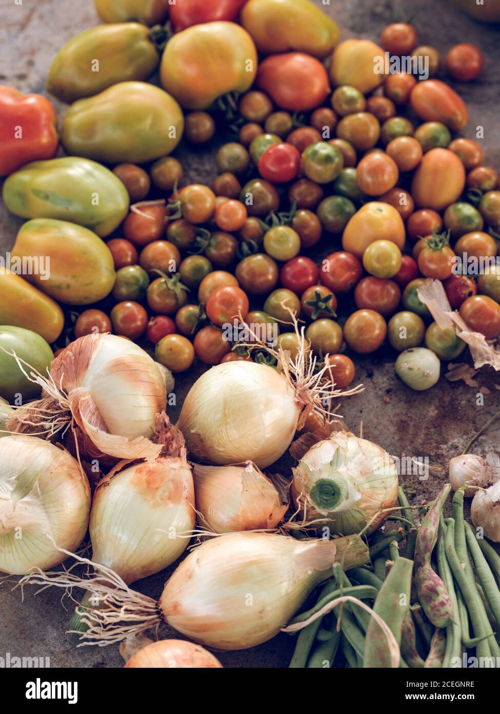 Onion harvest hi-res stock photography and images - Alamy