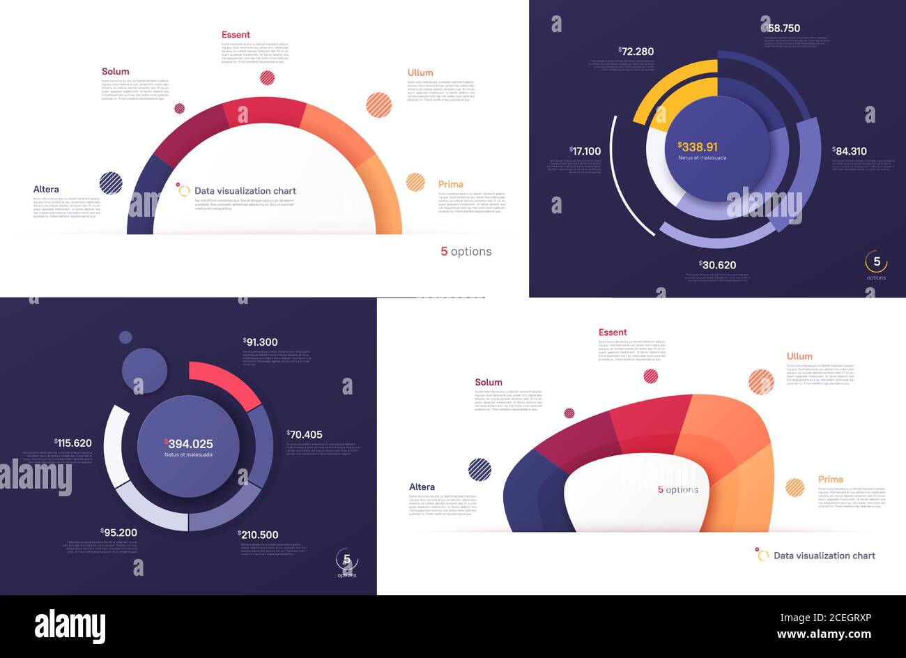 Set of vector circle chart designs, modern templates for creating infographics, presentations, reports, visualizations Stock Vector