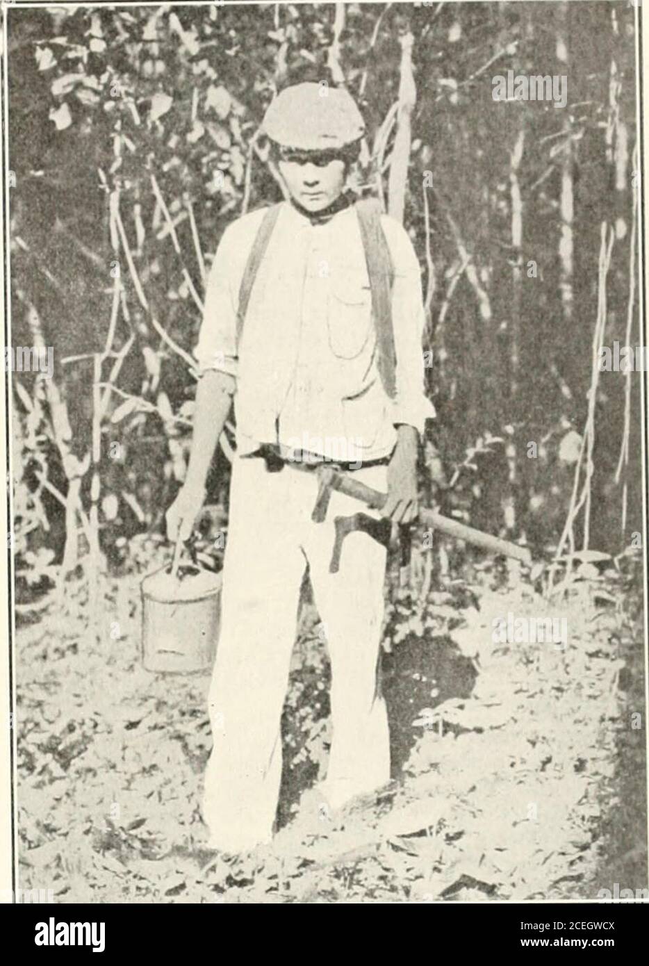 India Rubber World Essor Dr E De Queiroz Willask For More Or Less Is A Question The Gossip On Theamazon However Is That No More Money Will Be Forth Coming The Iliringur Iro