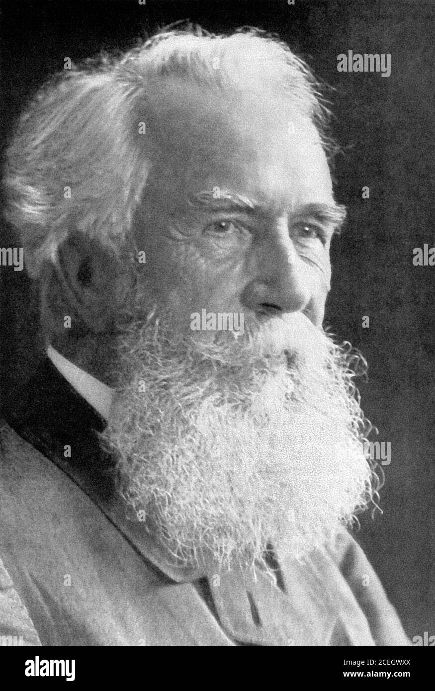 Ernst Haeckel. Portrait of the German artist and scientist, Ernst Heinrich Philipp August Haeckel (1834-1919) Stock Photo