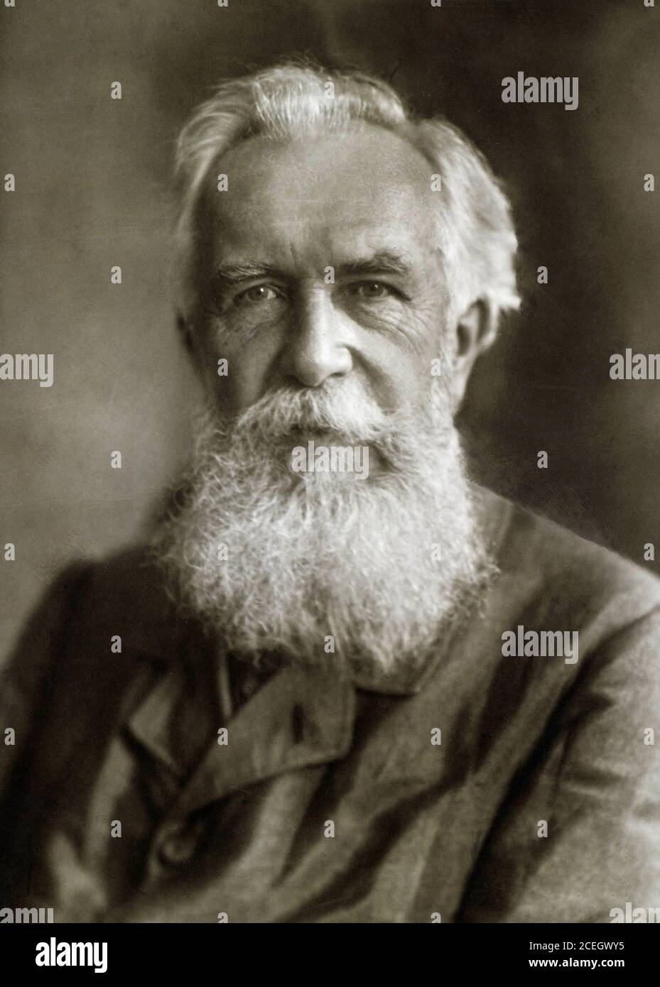 Ernst Haeckel. Portrait of the German artist and scientist, Ernst Heinrich Philipp August Haeckel (1834-1919) by Alfred Bischoff, 1913 Stock Photo