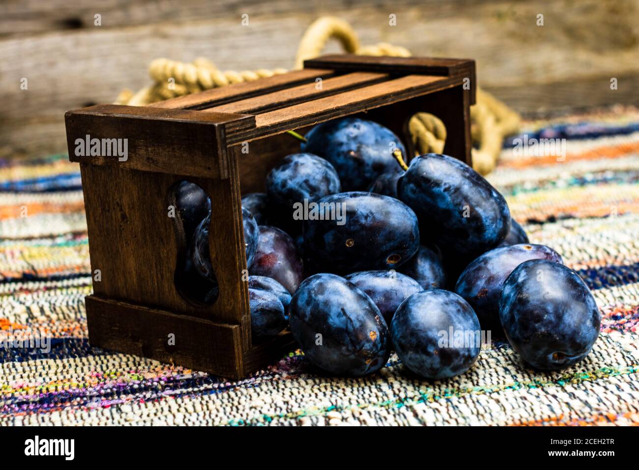 Ripe blue plums in a wooden crate in a rustic composition. Stock Photo