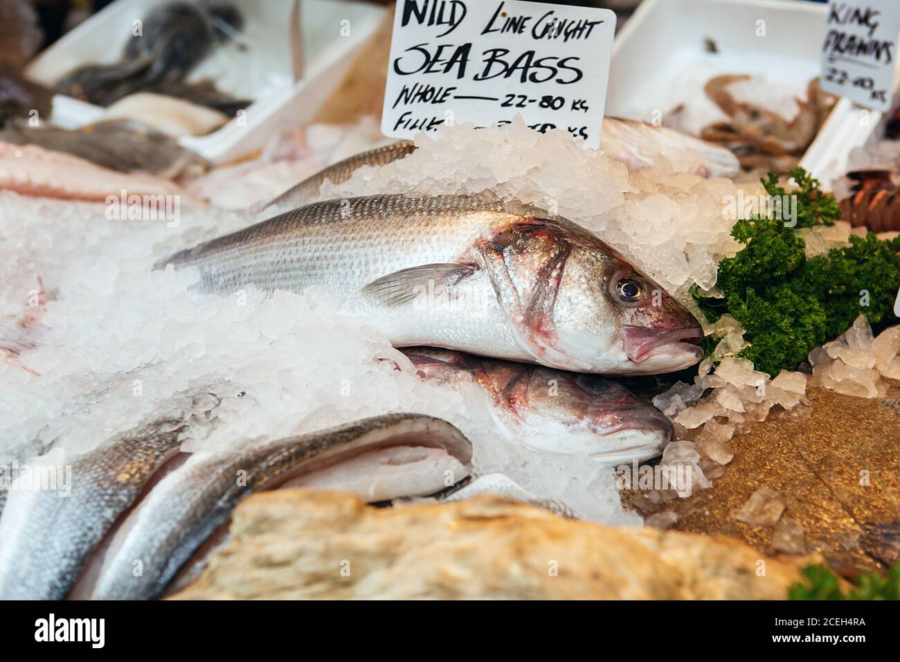 Freshly caught Sea Bass fishes and other seafood on display at Borough