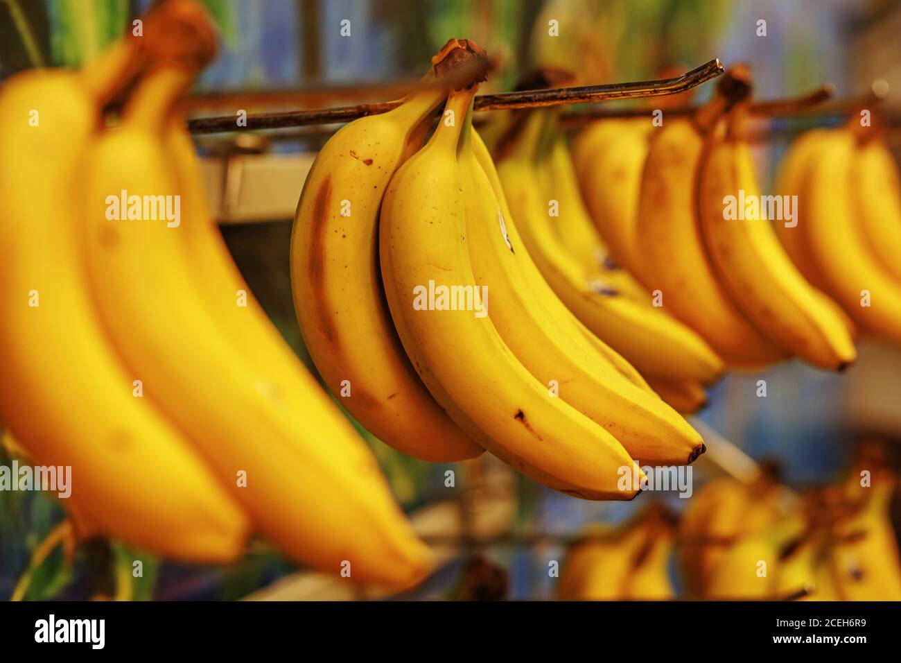 Rotten bananas sold in supermarkets in the Third World or economically underdeveloped countries Stock Photo