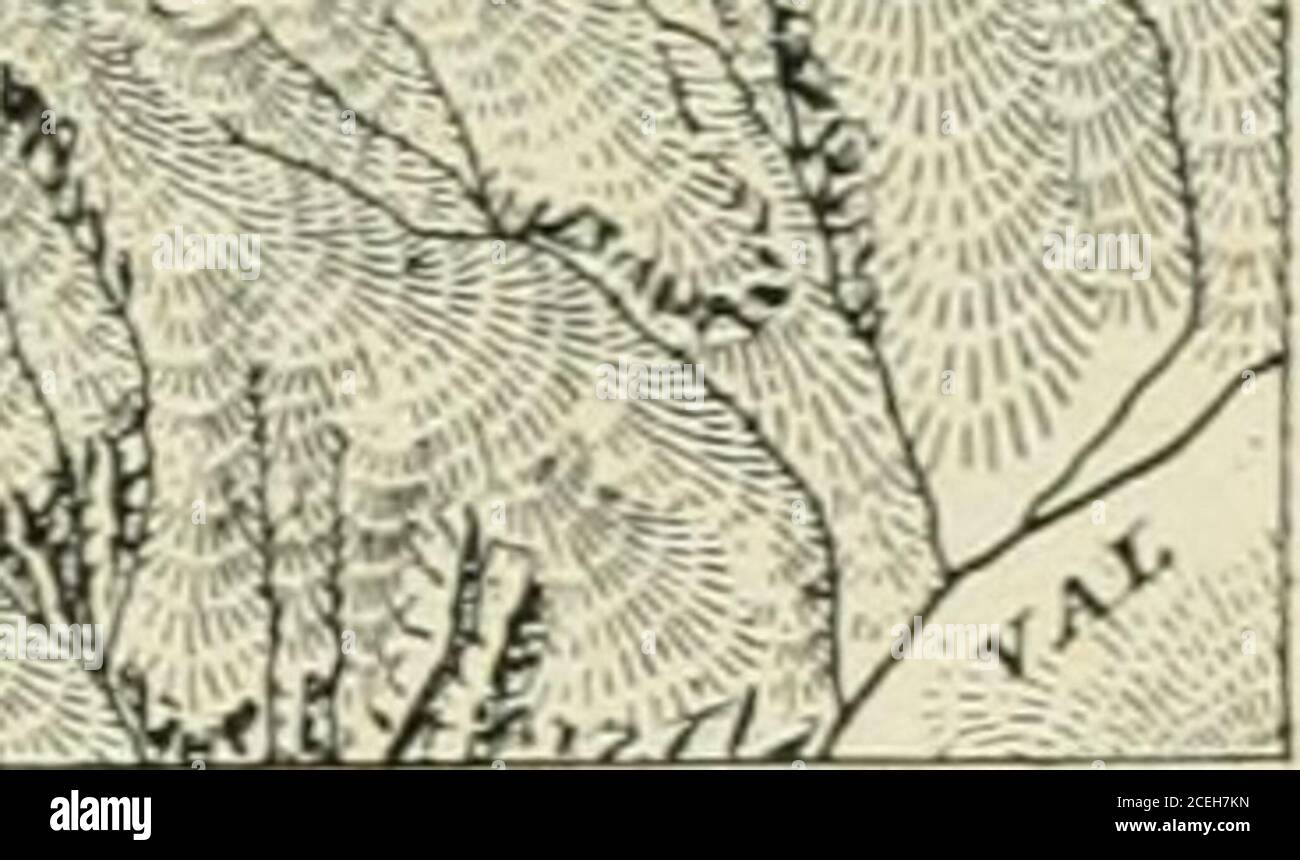 . Le Monde moderne. « ^VJi^ /y V •&gt;-.^„-de »iBBlanc tN* , , ^kL «0^ ^ ^^ ^:f^ m t5 #^^.. ^ -^. Fig. 3. Carte des environs du mont Blanc montrant lavant-projet dun chemin de ferqui permettrait darriver à 2.30 mètres du sommet. ries perpendiculaires à la voie donnerontaccès à lextérieur, aux endroits où lonaura édifié des hôtels, qui deviendront lepoint de départ des diverses excursions. 11est très probable que la traction seraitélectrique, les dynamos étant actionnéespar une usine hydraulique, comme cestle cas pour le chemin de fer de la Jung-frau, dont lachèvement se poursuit en cemoment. S Stock Photo
