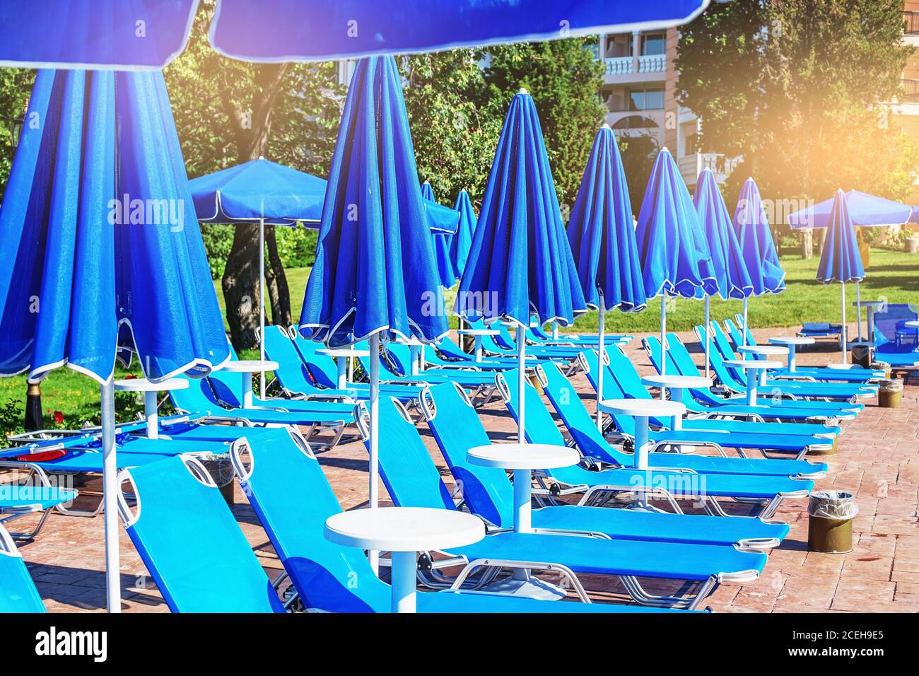 blue umbrellas and sun beds near the pool in the summer resort
