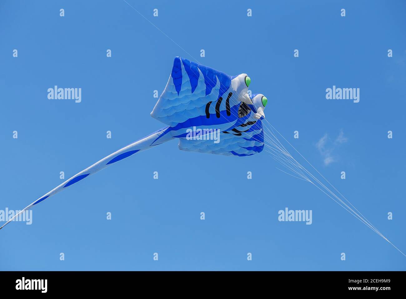 kites flying in a blue sky. Kites of various shapes. kiting Stock Photo