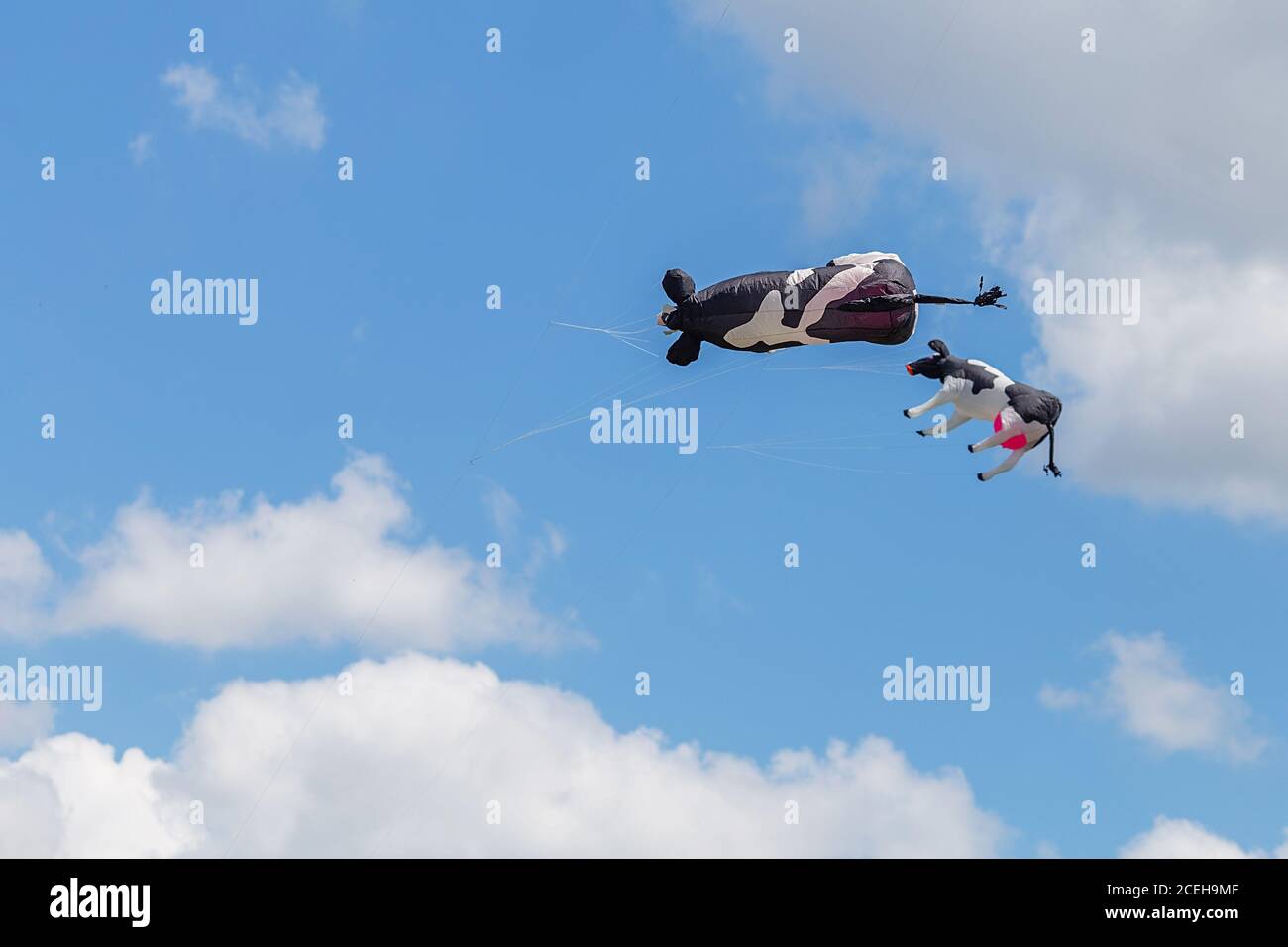 kites flying in a blue sky. Kites of various shapes. kiting Stock Photo