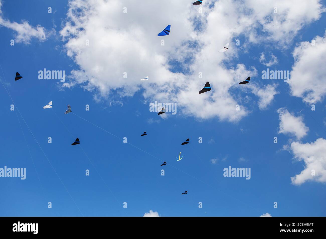 kites flying in a blue sky. Kites of various shapes. kiting Stock Photo