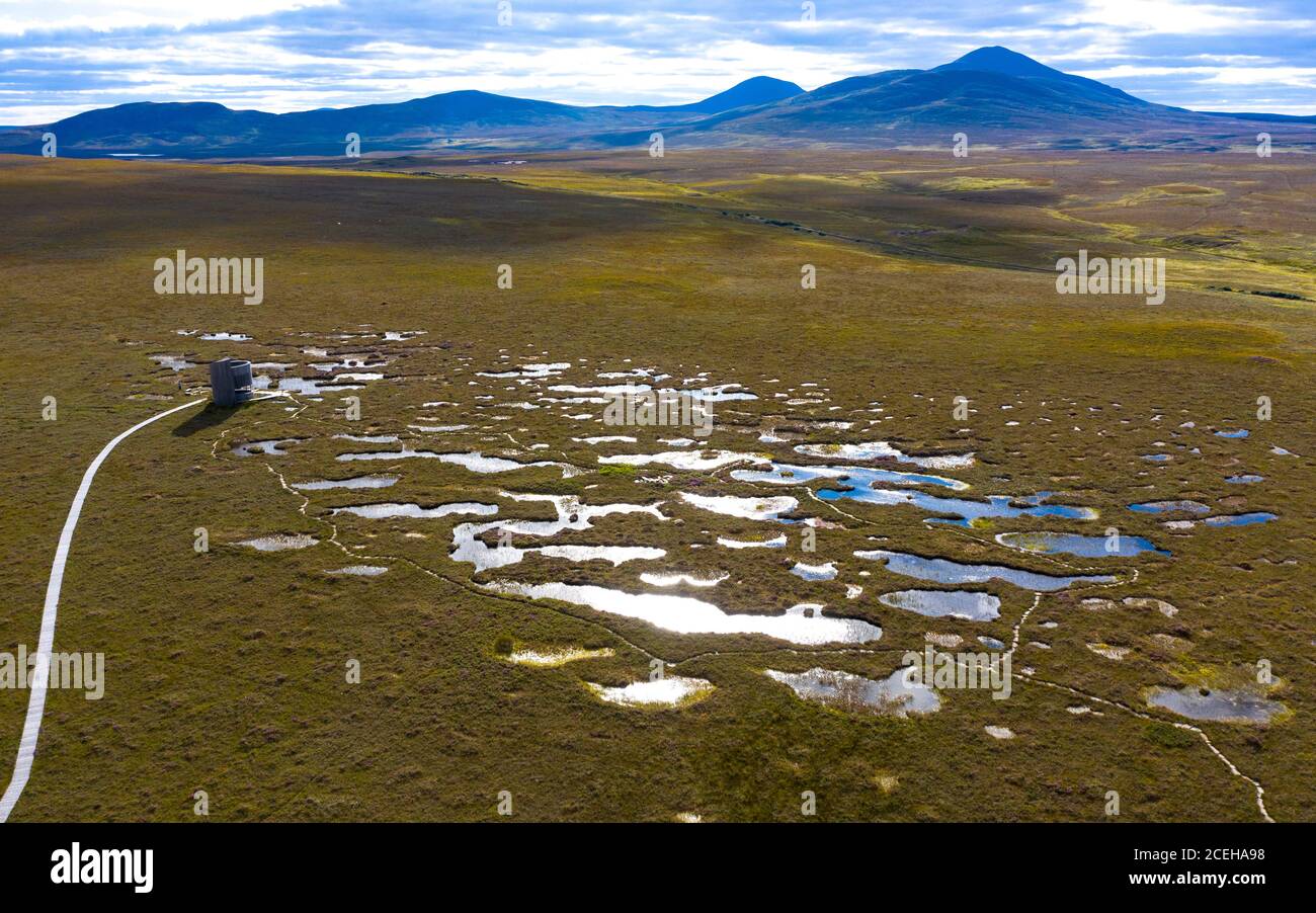 View of landscape of the Flow Country at RSPB Forsinard Flows Nature Reserve in Sutherland, Highland,  Scotland, UK Stock Photo