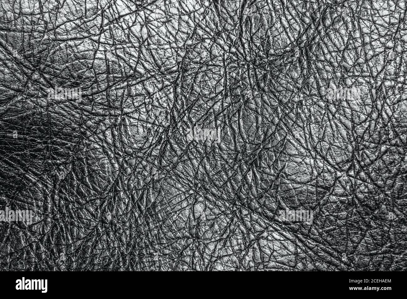 leather shiny texture Stock Photo