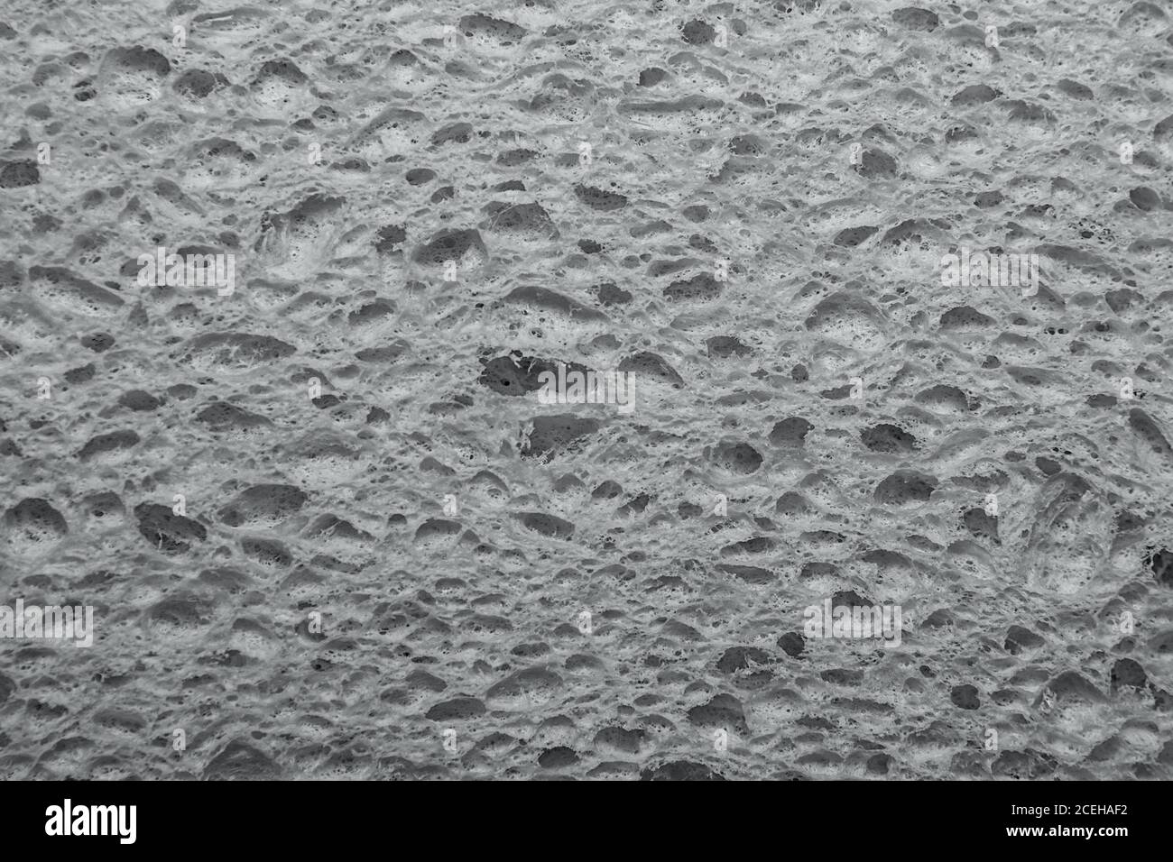 Green Cellulose foam sponge Stock Photo