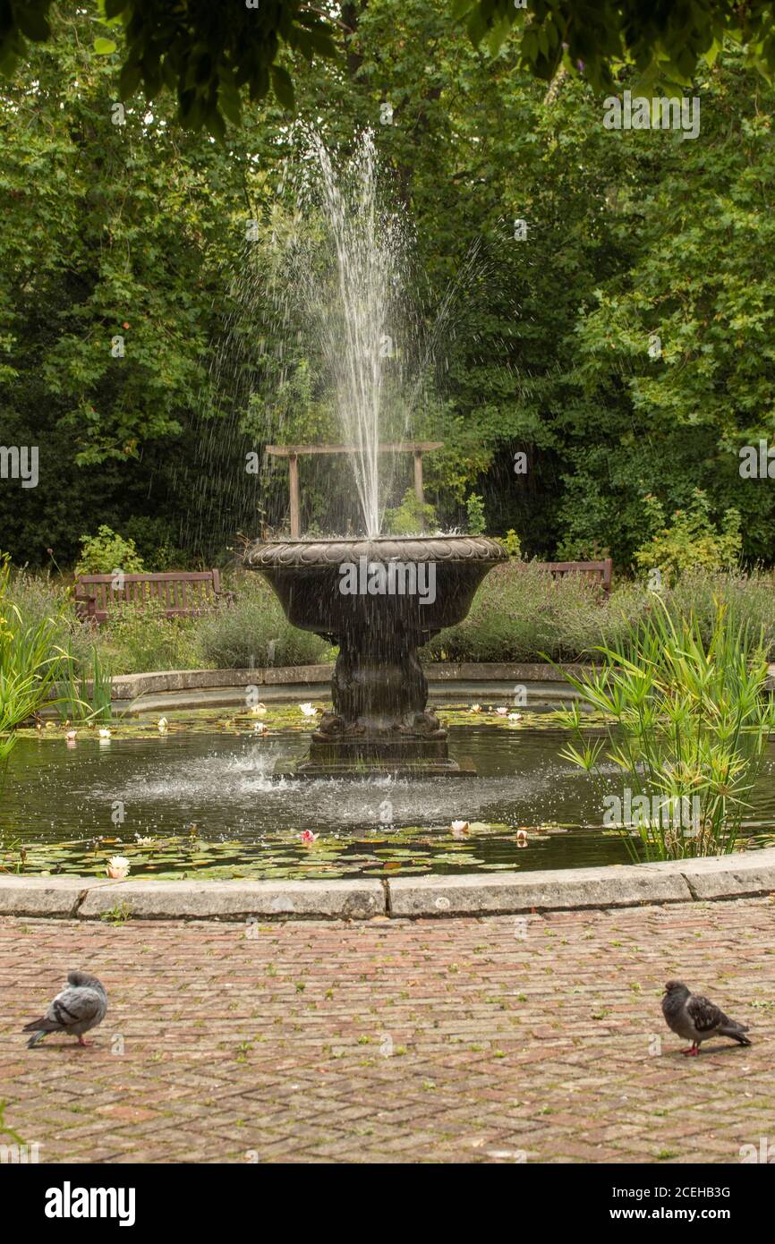 Fountain and pigeons in a fading cottage garden, London, England, United kingdom, Europe Stock Photo
