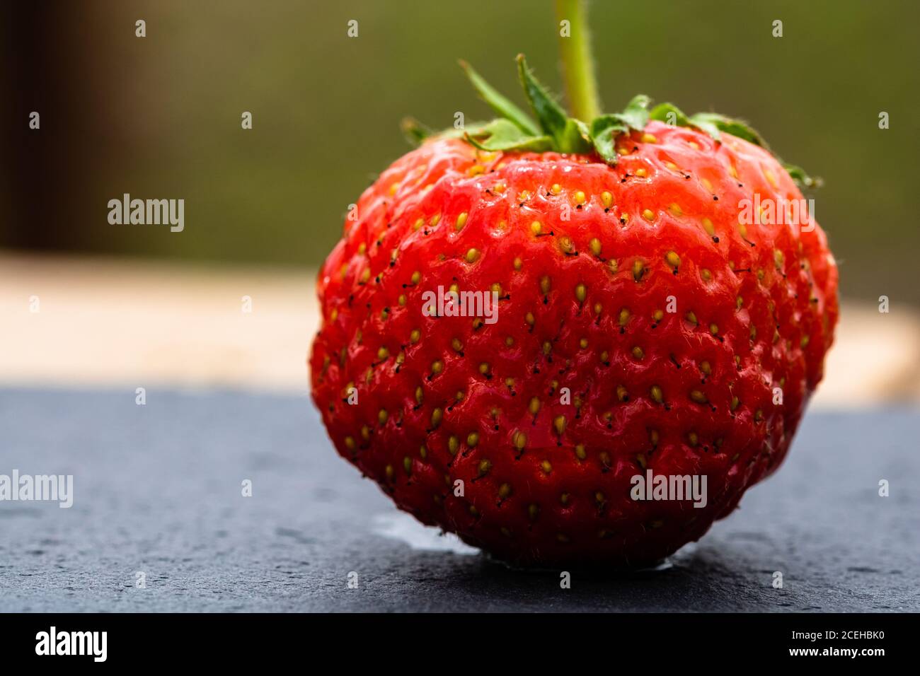 Close up of fresh strawberry showing seeds achenes. Details of a fresh ...