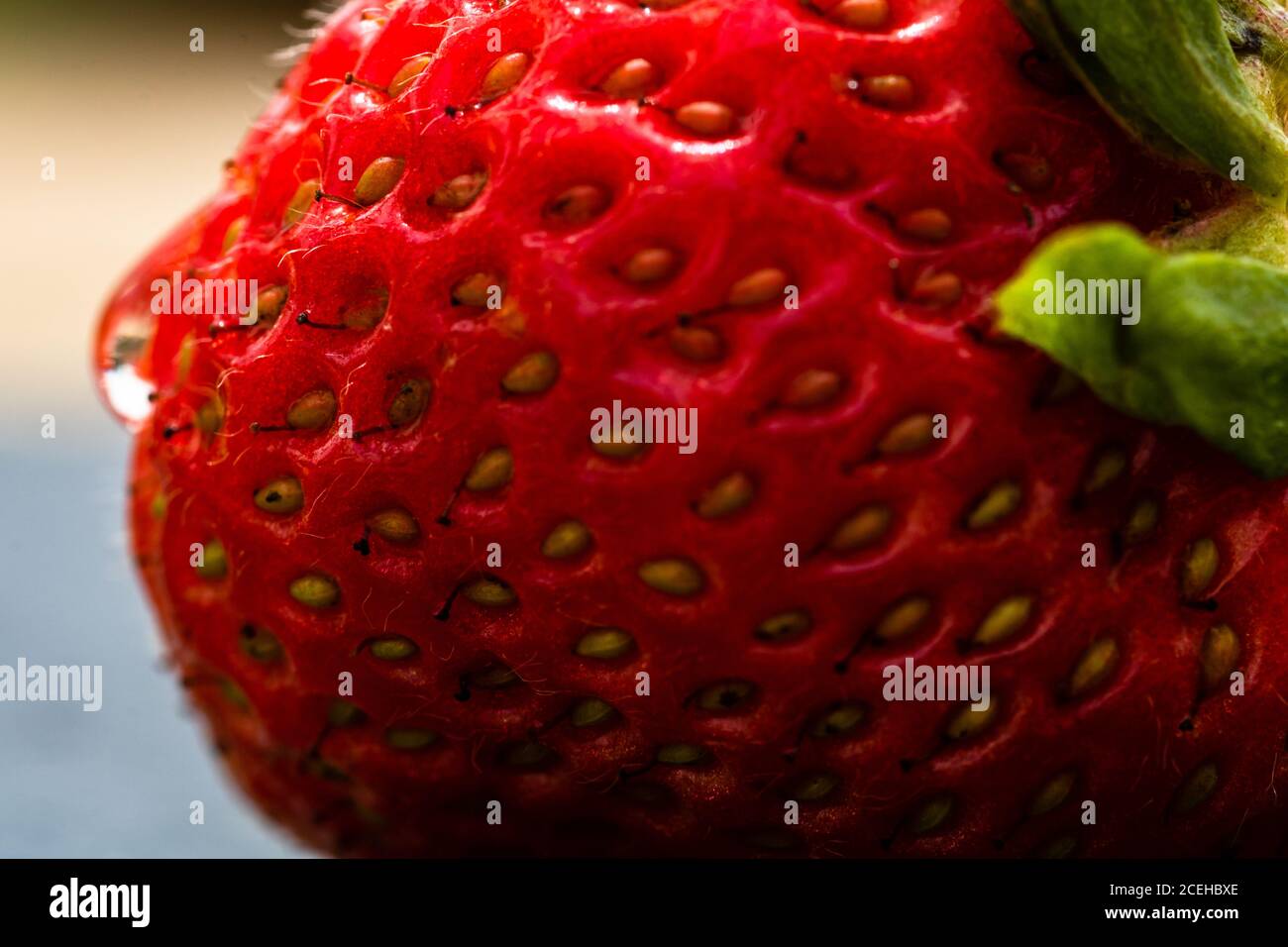 Close up of fresh strawberry showing seeds achenes. Water drop on fresh ...