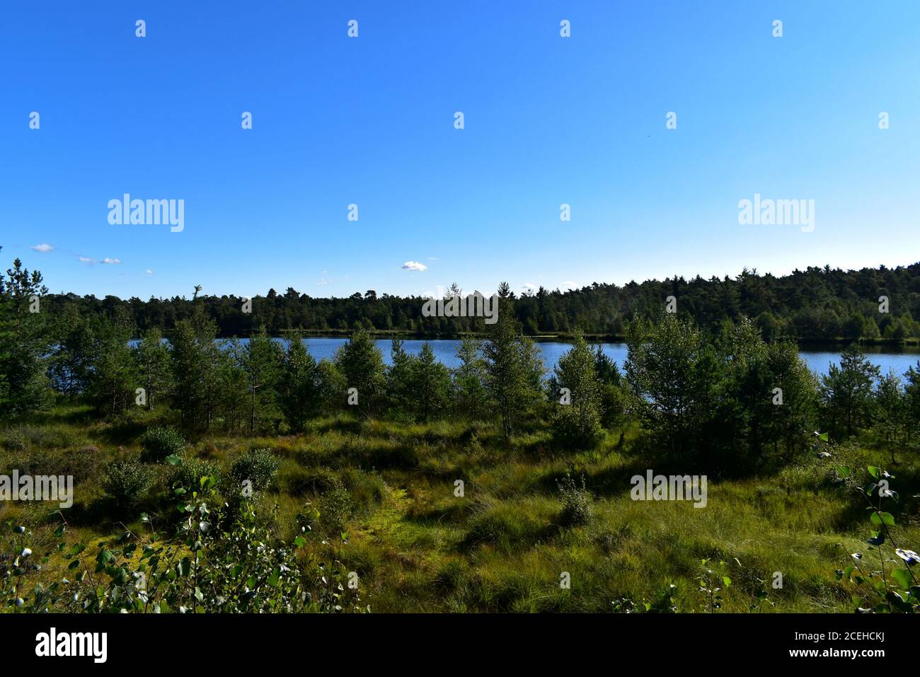 Grundloser See, meaning Groundless or Bottomless Lake, near Walsrode, Lower Saxony. Stock Photo