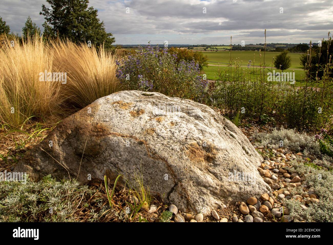 Verdant Essex landscape with large rock and Stipa Tenuissima, Stock Photo