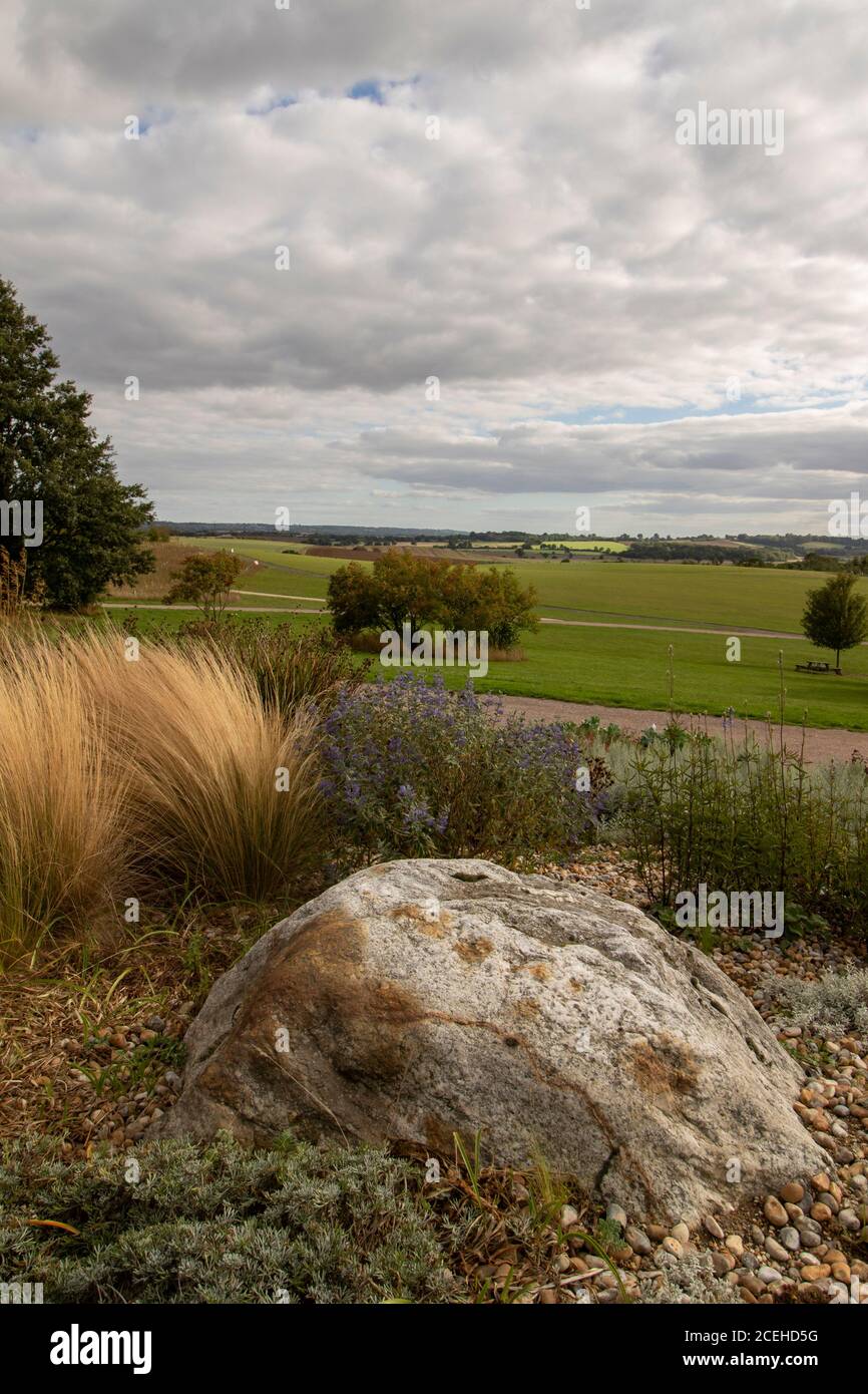 Verdant Essex landscape with large rock and Stipa Tenuissima, Stock Photo