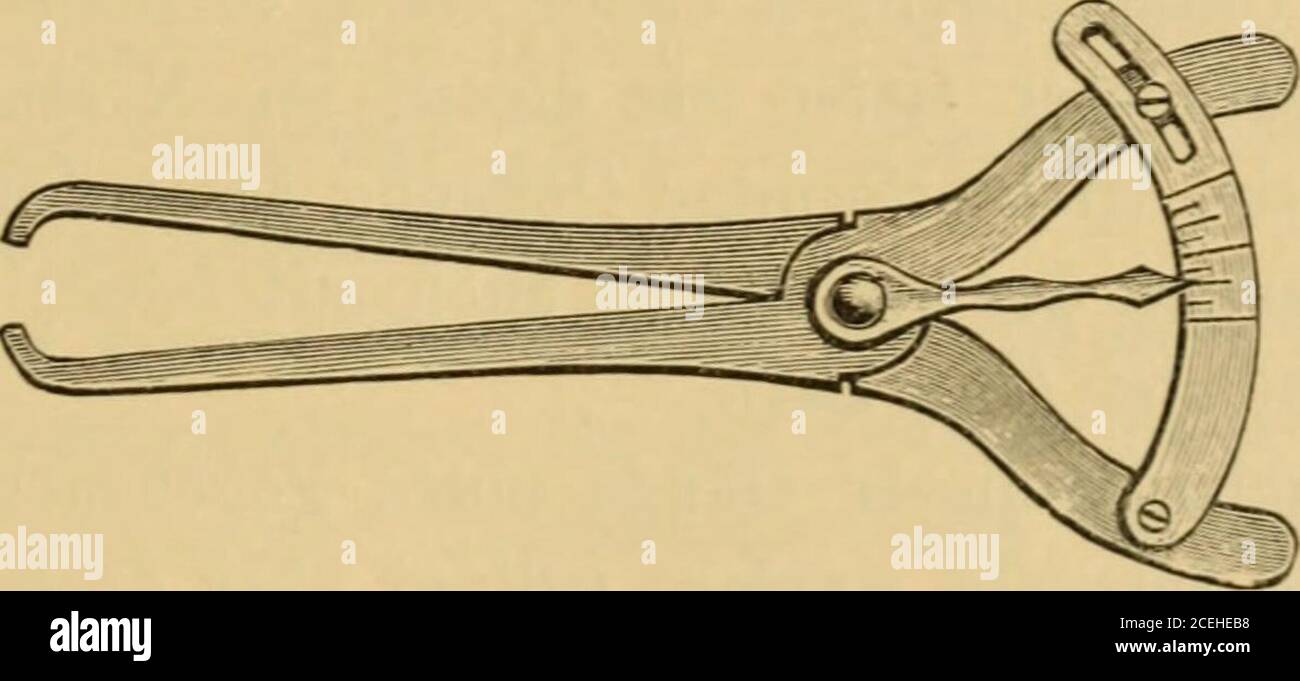 Page 2 Wulst High Resolution Stock Photography And Images Alamy