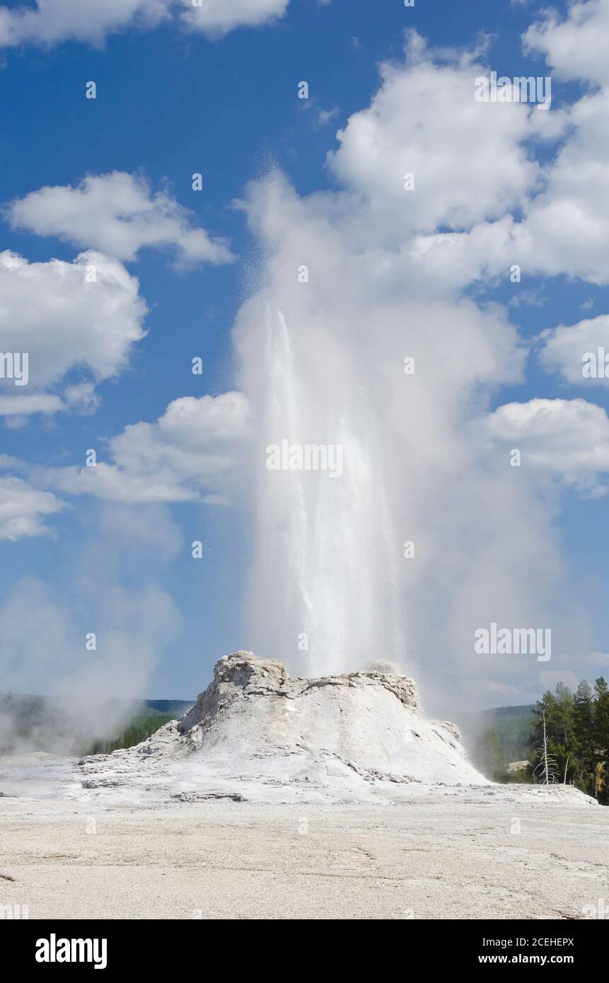 Castle Geyser in Yellowstone National Park, USA Stock Photo