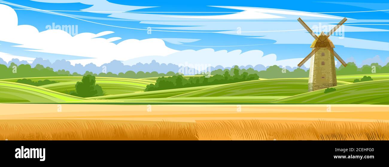 Wheat fields and grass meadows. Hills with blue sky and clouds. Windmill for flour production. Rural landscape. Countryside. Rye, barley, oats. Flat Stock Vector