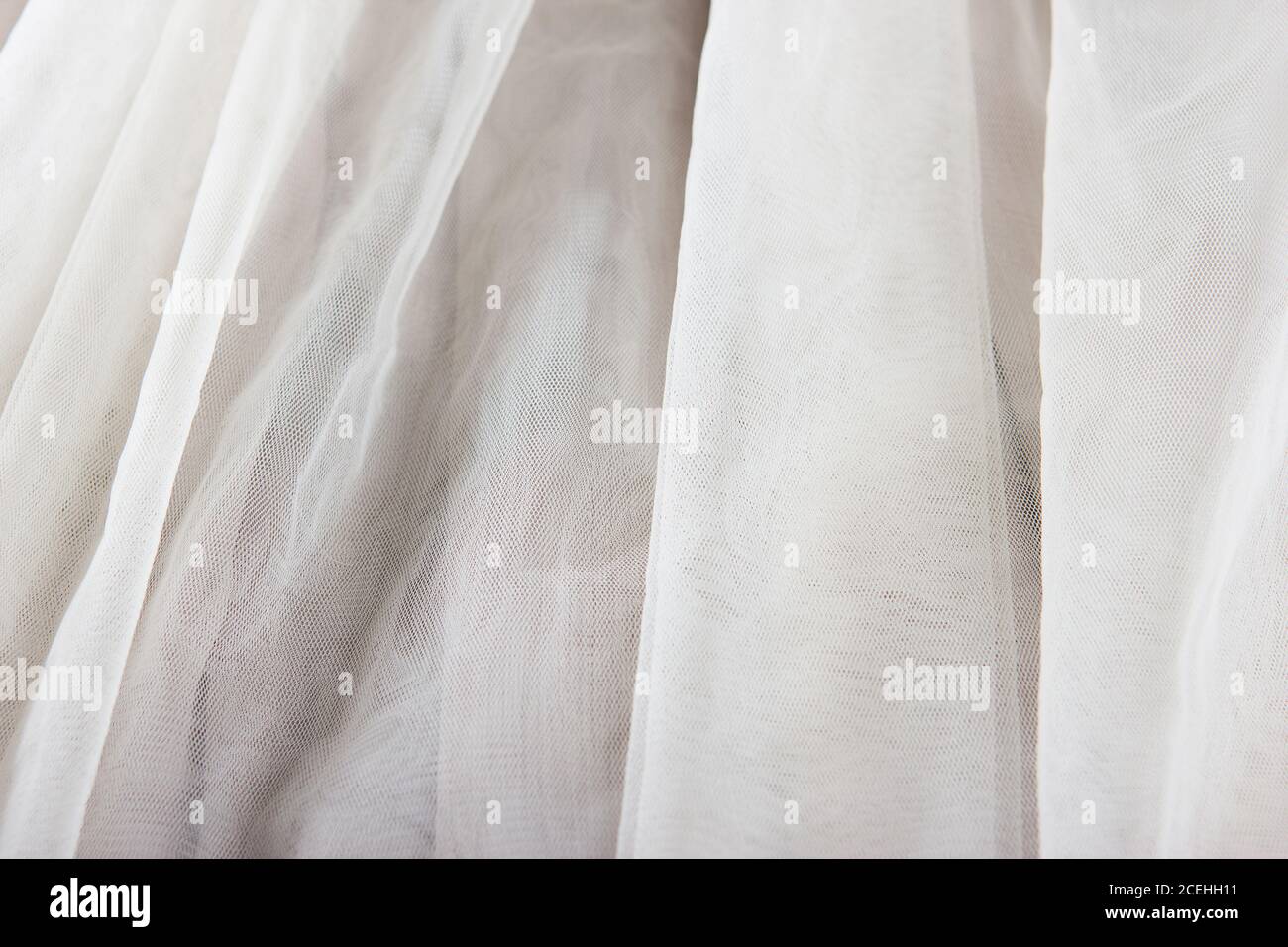 Pleated Chiffon Tulle Skirt