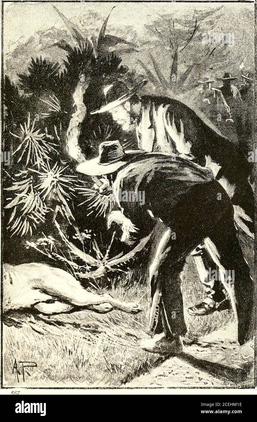 Redskin And Cow Boy A Tale Of The Western Plains Es Rosita Telljuan To Go Down To Chaquitas Cottage And Beg The Youngladies To Return As I Want Them In Ten Minutes