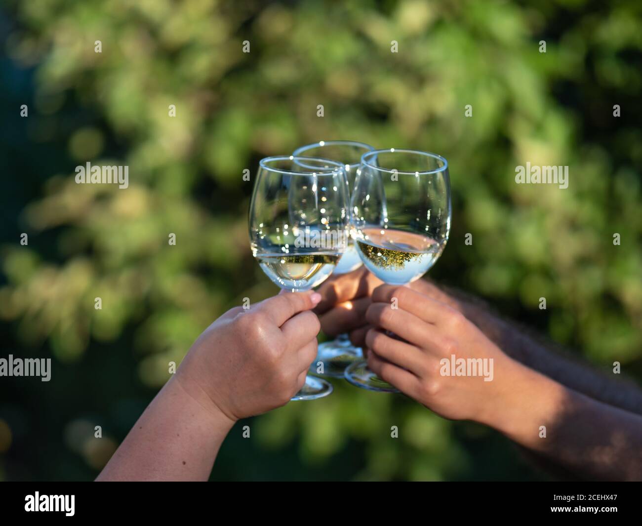 White wine glasses in hands. Two unrecognizable people clang glasses