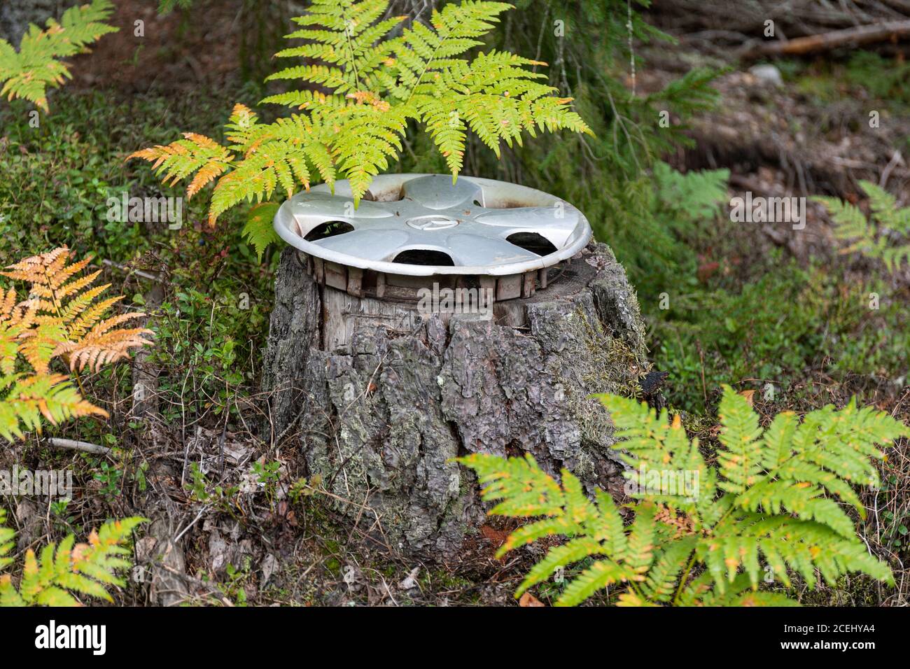 Plastic Mazda hubcap placed on tree stump by roadside Stock Photo
