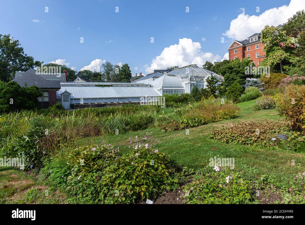 Lyman plant house and conservatory hi-res stock photography and images -  Alamy