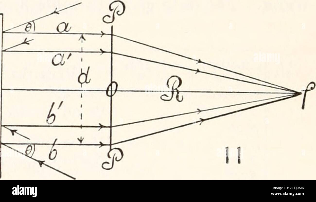 Carnegie Institution of Washington publication. 12 THE PHYSIOLOGY OF  STOMATA. An examination of the plastids, even when they are devoid of  starch, fails to convince one that chlorophyll is present. I