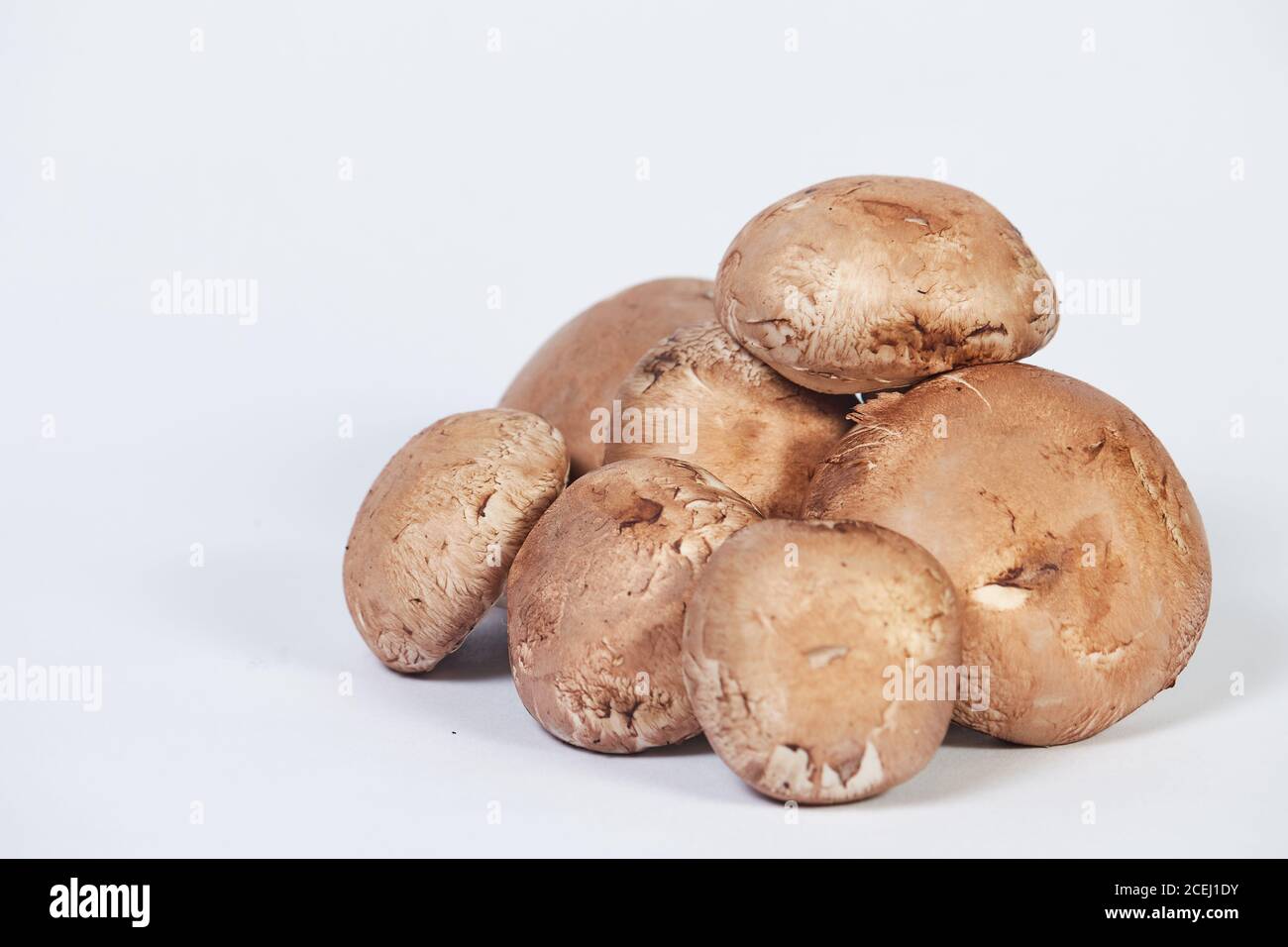 Champignon mushroom, brown variety, isolated on white background. Stock Photo