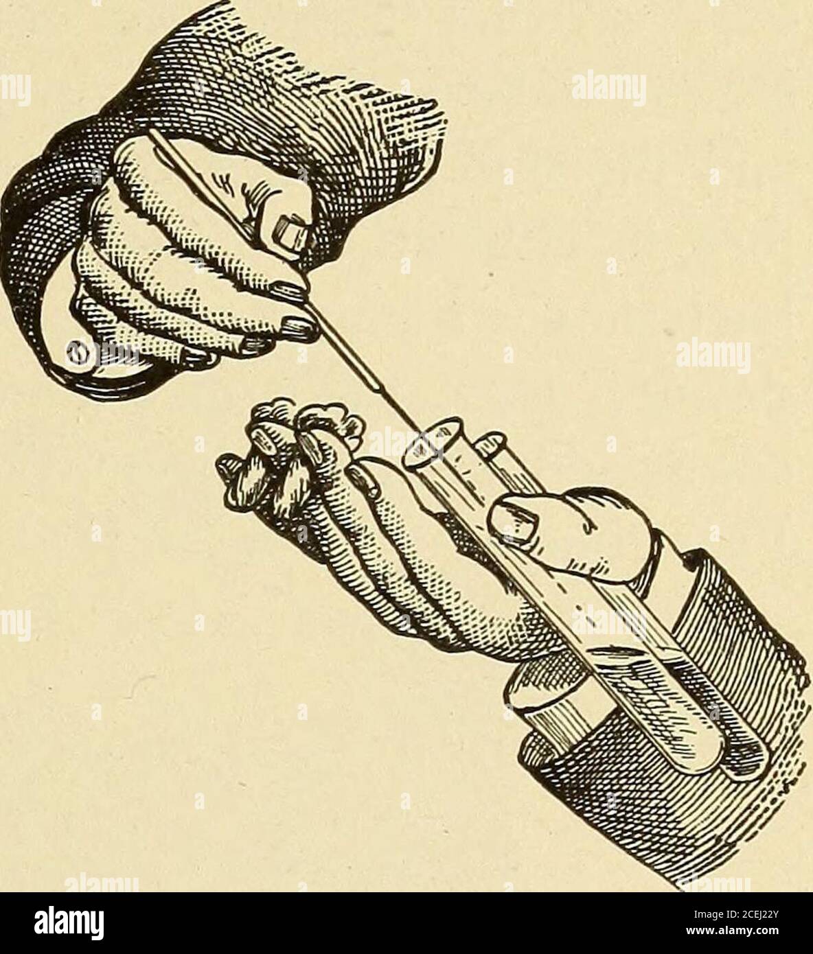 . Pathological technique; a practical manual for workers in pathological histology and bacteriology. g position in such away as to give a good view to the operator of the surface ofthe media in each, while the cotton stoppers are removedand held between the fingers of the same hand (Fig. 19).The object of holding the tubes in a slanting position is tooffer less chance of contamination from bacteria gaining en-trance to the culture-medium from the air. The platinum wire, which is manipulated by the righthand, is first sterilized by holding in the Bunsen flame untilit glows, and then cooled by c Stock Photo