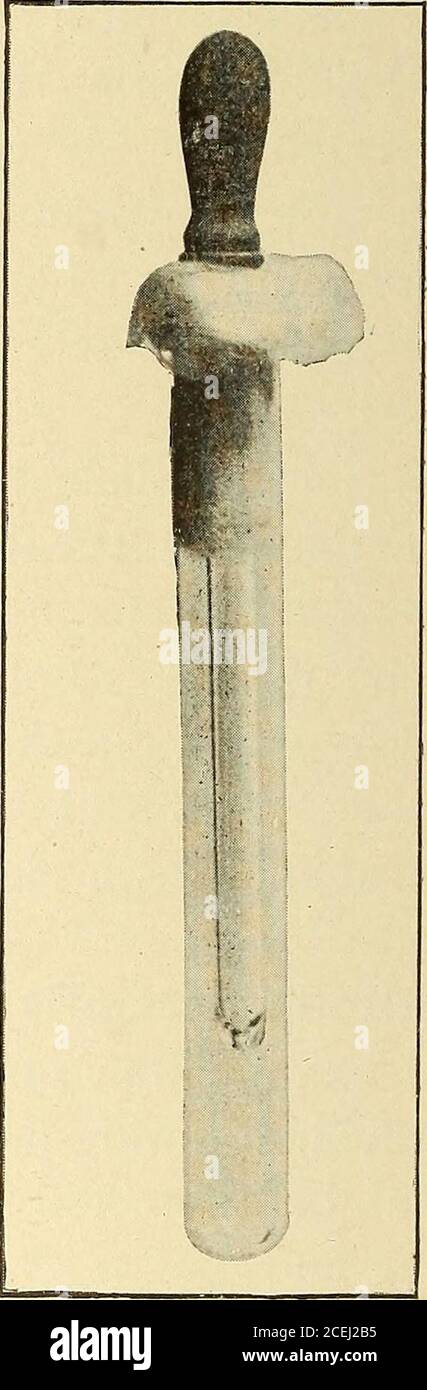 . Pathological technique; a practical manual for workers in pathological histology and bacteriology. Fig. 17.—Sterilized test-tubeand swab for collecting pus andfluids for bacteriological examina-tion (Warren). Fig. 18.—Apparatus for the collec-tion of pathological fluids. well covered. This is placed, cotton end first, in a test-tube, which is then provided with a cotton stopper (Fig.17), and the whole sterilized in a hot-air sterilizer by heat-ing to 1500 to 1800 C. during about half an hour. A largenumber of swabs in test-tubes may be kept on hand ster-ilized and ready for use. CULTURE METH Stock Photo